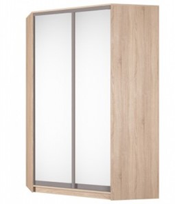 Угловой шкаф Аларти (YA-230х1400(602) (10) Вар. 5; двери D5+D5), с зеркалом в Оренбурге
