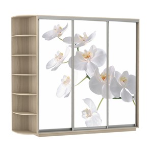 Шкаф 3-дверный Экспресс со стеллажом, 2100х600х2200, Орхидея белая/шимо светлый в Орске