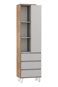 Комбинированный шкаф Гавана 58.03 в Бузулуке