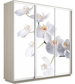 Шкаф 3-дверный Экспресс 2400х600х2200, Орхидея белая/шимо светлый в Орске