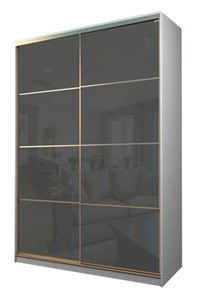 Шкаф 2-х дверный MAX МШ-25-6-18-22, Профиль Золото/Цвет Белый/Oracal Темно-серый в Бузулуке