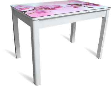 Кухонный раздвижной стол Айсберг мини СТФ, белое лдсп/орхидея/40 прямые массив белые в Орске