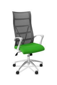 Кресло для руководителя Топ X белый каркас, сетка/ткань TW / серая/салатовая в Бузулуке