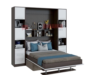 Кровать-шкаф с диваном DetalMaster Бела 1, с полкой ножкой, 1200х2000, венге/белый в Орске