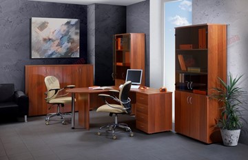 Комплект офисной мебели Референт, фасад орех в Орске