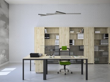 Офисный комплект мебели Экспро Саньяна в Бузулуке