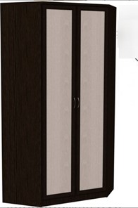 Распашной шкаф 403 несимметричный, цвет Венге в Бузулуке