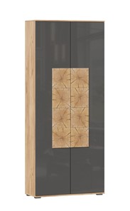 Шкаф двухстворчатый Фиджи с декоративными накладками 659.310, Дуб Золотой/Антрацит в Бузулуке
