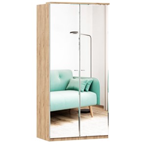 Шкаф двухстворчатый с 2-мя зеркалами Фиджи, 659.238, цвет белый в Бузулуке