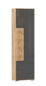 Шкаф одностворчатый Фиджи с декоративными накладками 659.300, Дуб Золотой/Антрацит в Орске