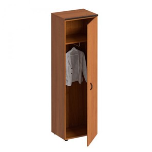 Шкаф для одежды Дин-Р, французский орех (60х46,5х196,5) ДР 772 в Бузулуке
