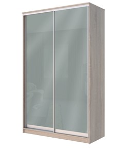 Шкаф двухдверный Хит-22-12/2-22 с цветным стеклом, средне-серый 074, Дуб сонома в Орске