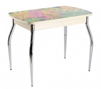 Кухонный стол раздвижной ПГ мини СТФ, дуб молочный лдсп/луговые цветы/35 хром гнутые в Орске