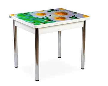 Кухонный стол СПА-01 СТФ, белый/фотопечать ромашки/опоры прямые хром в Бузулуке