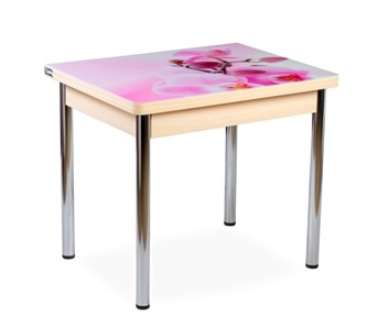 Кухонный пристенный стол СПА-01 СТФ, молочный дуб/фотопечать орхидея/опоры прямые хром в Орске