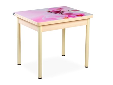 Кухонный пристенный стол СПА-02 СТФ, молочный дуб/фотопечать орхидея/опоры бежевый в Бузулуке