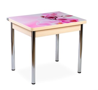 Кухонный пристенный стол СПА-02 СТФ, молочный дуб/фотопечать орхидея/опоры хром в Бузулуке