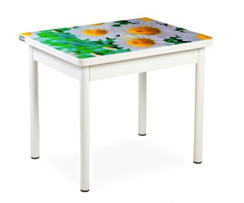 Кухонный пристенный стол СПА-07 СТФ, белый/фотопечать ромашки/опоры прямые белый в Орске
