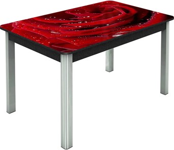 Кухонный стол раздвижной Гамбург исп. Мини, ноги метал. крашеные №23, Фотопечать (Цветы №39) в Бузулуке