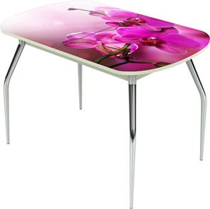 Раздвижной стол Ривьера исп.1 ноги метал. крашеные №24 Фотопечать (Цветы №16) в Орске