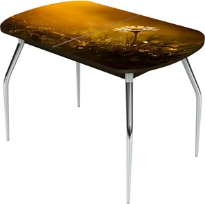 Кухонный раскладной стол Ривьера исп.2 ноги метал. крашеные №24 Фотопечать (Цветы №43) в Орске