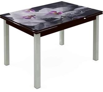 Кухонный стол раскладной Шанхай исп. 2, ноги метал. крашеные №21 Фотопечать (Цветы №19) в Орске