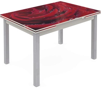 Кухонный стол раздвижной Шанхай исп. 2, ноги метал. крашеные №21 Фотопечать (Цветы №39) в Орске