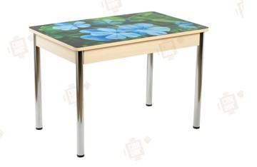 Кухонный стол раскладной Айсберг-01 СТФ, дуб/фотопечать фиалка/ноги хром прямые круглые в Бузулуке