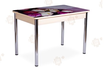 Кухонный стол раздвижной Айсберг-01 СТФ, дуб/фотопечать пионы/ноги хром прямые круглые в Бузулуке