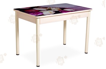 Кухонный стол раскладной Айсберг-01 СТФ, дуб/фотопечать пионы/ноги крашеные в Бузулуке