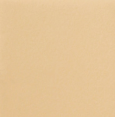 Стул обеденный Роджер Эконом С102-2(стандартная покраска) в Орске - изображение 9