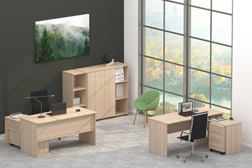 Офисный комплект мебели Twin в Орске - предосмотр 4