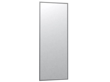 Настенное зеркало Сельетта-6 матовое серебро (1100х400х9) в Орске