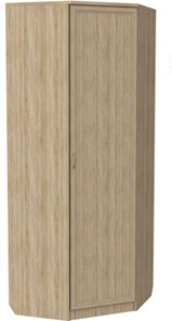 Распашной шкаф 400 угловой, цвет Дуб Сонома в Орске - предосмотр