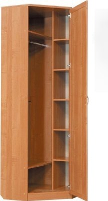 Распашной шкаф 402 угловой со штангой, цвет Дуб Сонома в Бузулуке - изображение 1