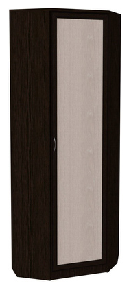 Распашной шкаф 402 угловой со штангой, цвет Венге в Орске - изображение