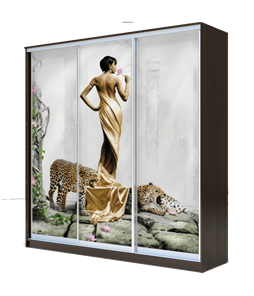 Шкаф 3-х створчатый 2200х1770х420, Девушка с леопардом ХИТ 22-4-18-777-03 Венге Аруба в Бузулуке