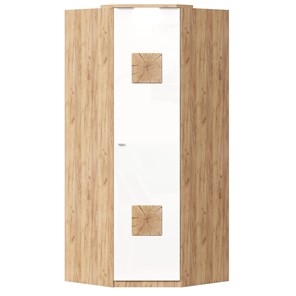 Шкаф угловой 45 с декоративной накладкой Фиджи, 659.248, белый в Орске - предосмотр