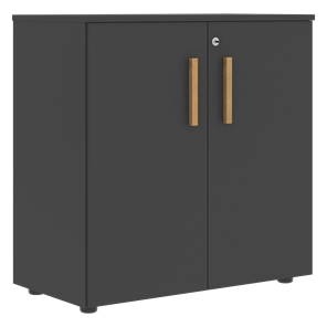 Низкий шкаф широкий с малыми дверцами FORTA Черный Графит FLC_80.1_Z__grafit.png FLC 80.1(Z) (798х404х801) в Орске